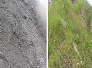 城市周邊破碎山體快速綠化修復(fù)技術(shù)