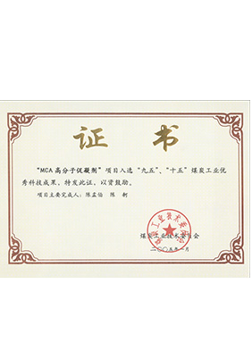 2005年1月MCA高分子促凝劑獲“九五、十五”科技成果獎(jiǎng)